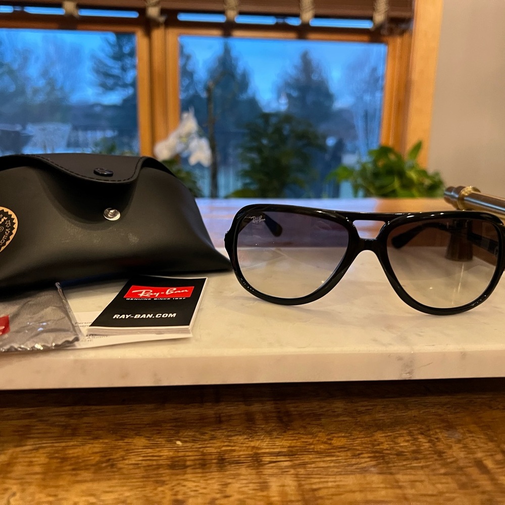 Ray-Ban Black Sunglasses Accessories